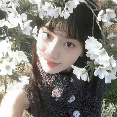 狐狸女士第二季